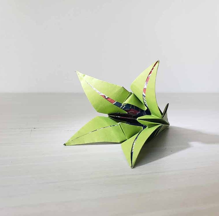 The three quarter view with lighting of a paper flower